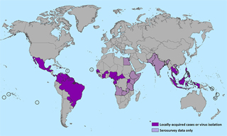 The Zika Virus - What You Need to Know Now: Part Two